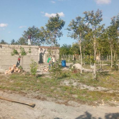 IMG-20171010-WA0000-450x450